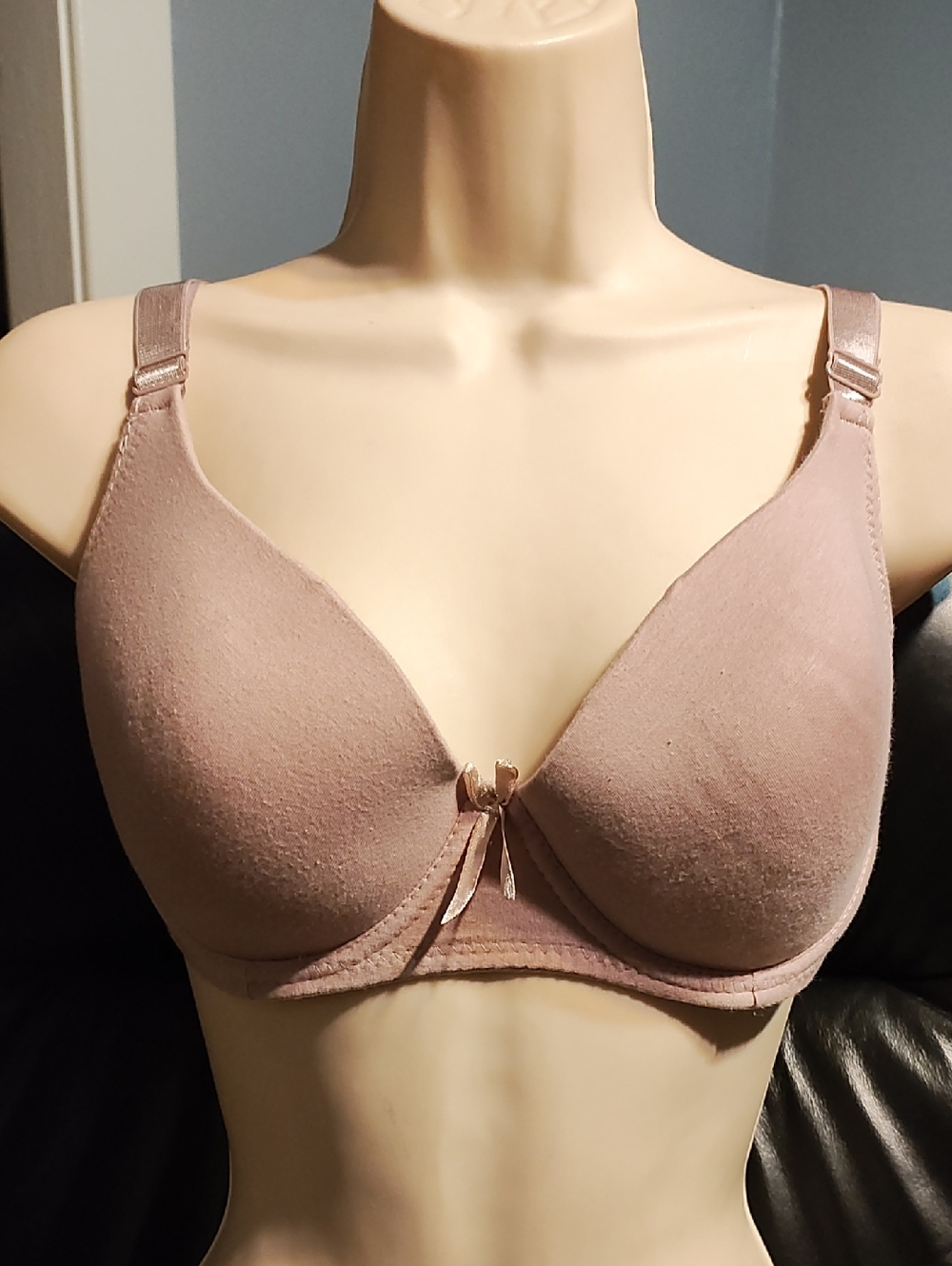 Emily Johnson Everyday T-Shirt Bra in Dusty Mauve